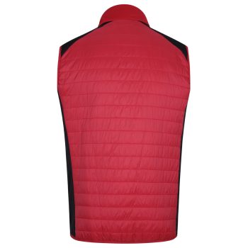 Pro Shell X Gilet